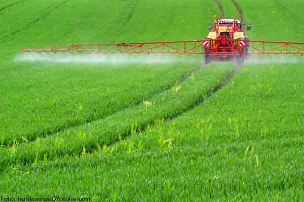 Mehr Schutz für Insekten?