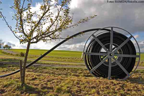 Chancen der Digitalisierung im ländlichen Raum