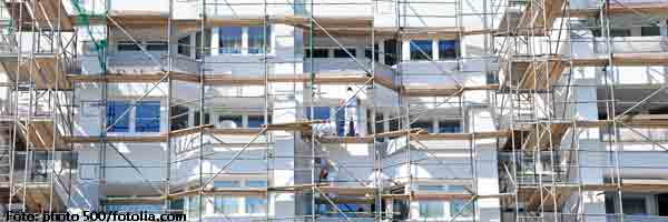 Naturschutz contra Wohnungsbau – Debatte um Bürgerbeteiligung in Freiburg