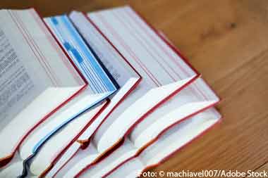 Studie der Universität Bamberg: Etwa die Hälfte der Befragten sieht sich als Teil einer postfaktischen Demokratie.