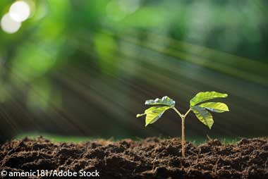 Bauen mit Holz: Viele Erfolge und noch viel Potenzial