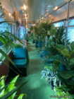 Weltweit erste „Grüne Bahn“ fährt in Mannheim