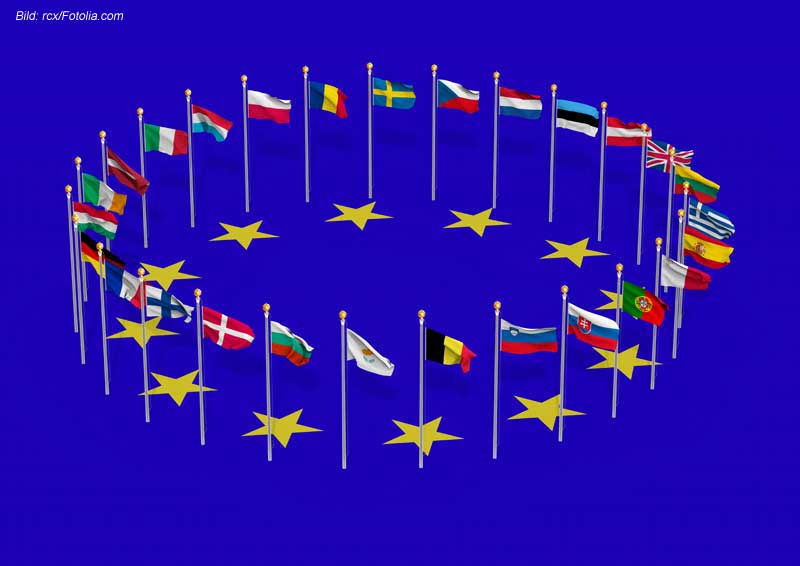 „The European Elections from the Inside“