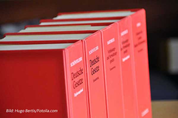 Die politische Soziologie der „Querdenker“