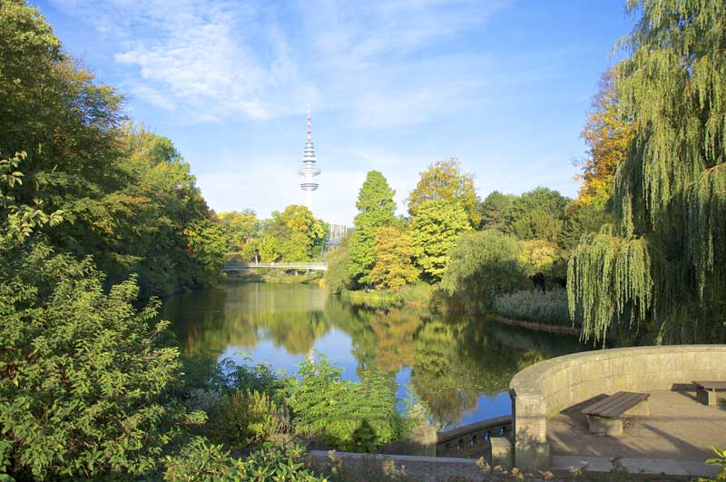 Grüne Dächer gegen den Klimawandel