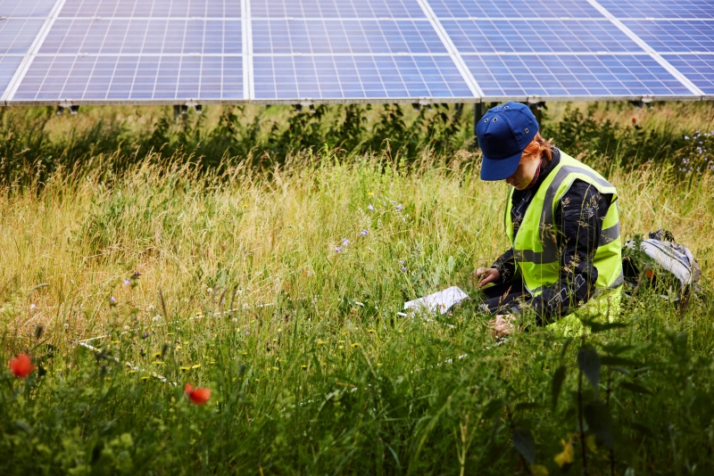 Sonnige Aussichten für Standortgemeinden