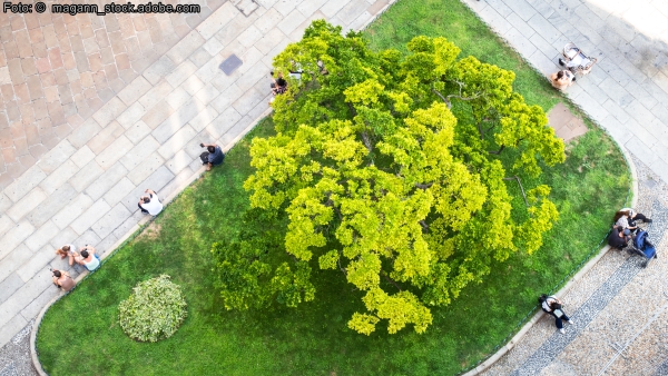 Straßenräume neu gestalten