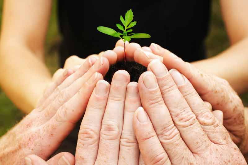 Studie: Engagement und Sicherung der Daseinsvorsorge im Ländlichen Raum