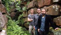 Immergrüne Moos-Fassaden für ein besseres Stadtklima